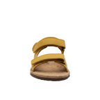 Timon Ocre frontal