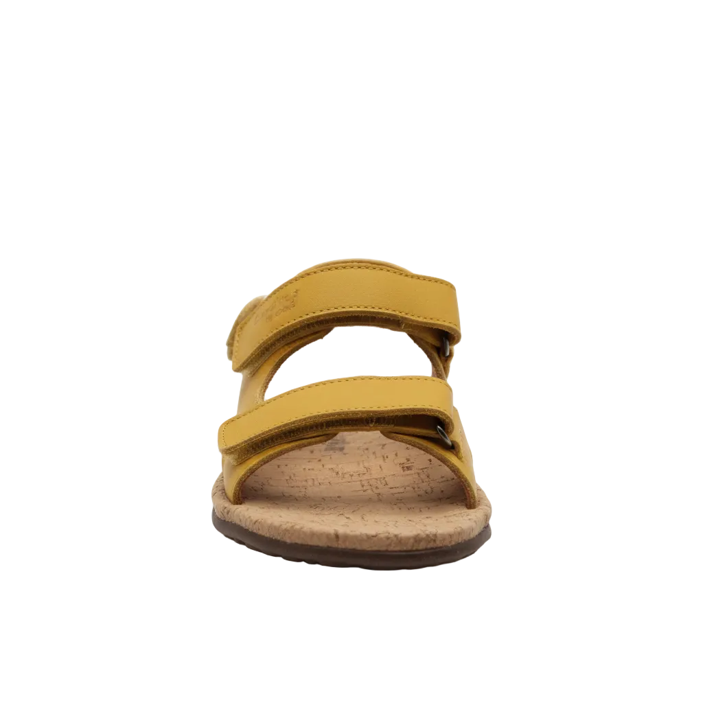 Timon Ocre frontal
