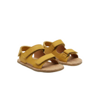 Timon Ocre par
