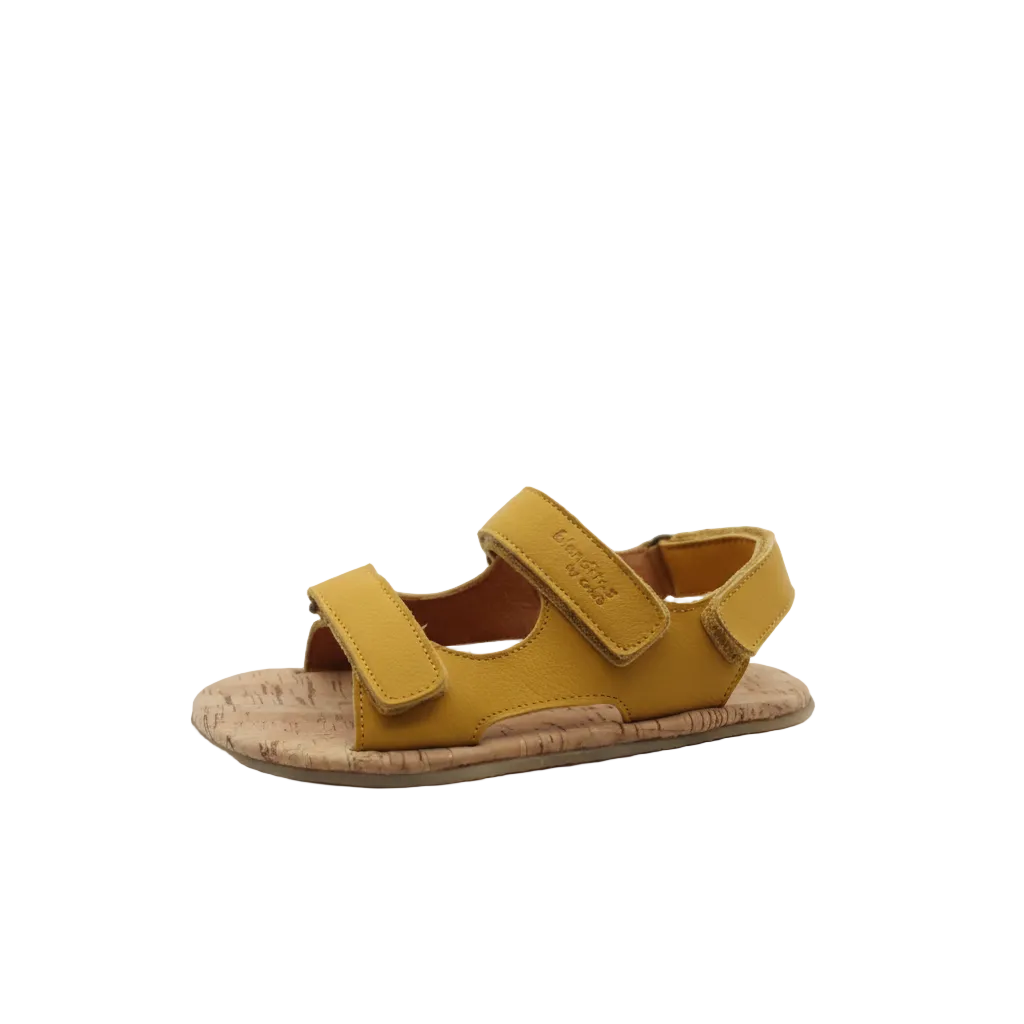 Timon Ocre principal